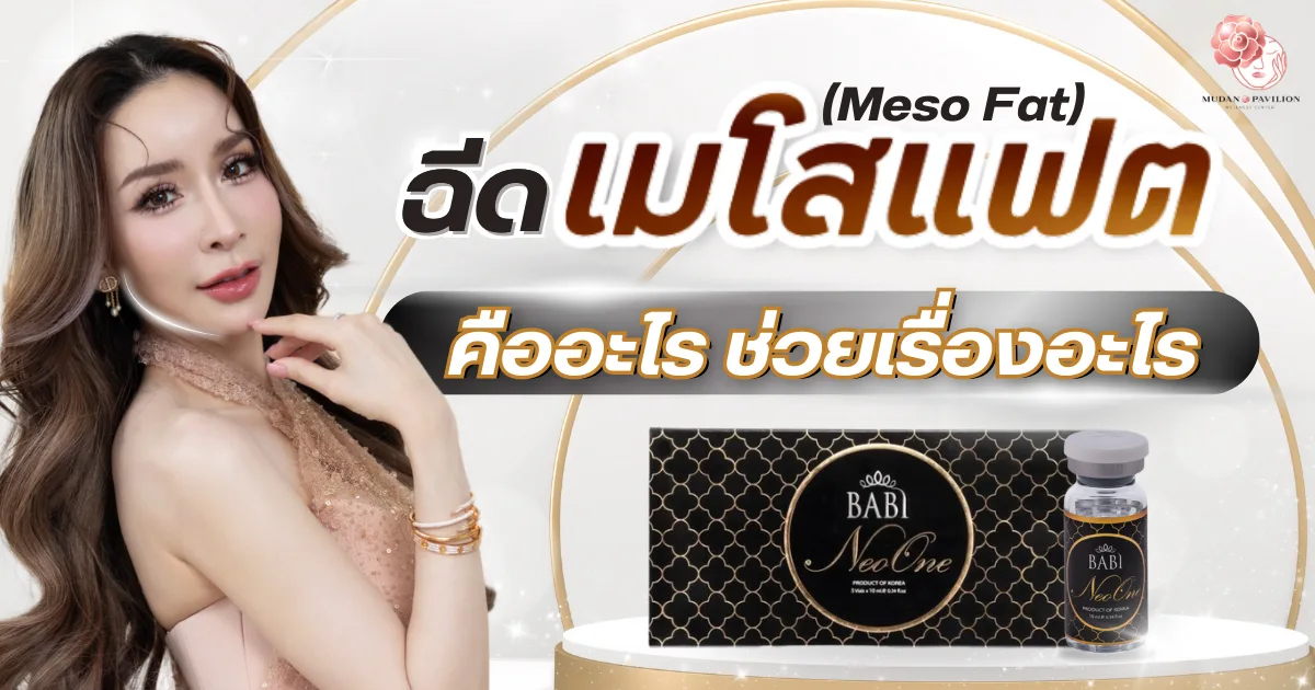 Mess fat คืออะไร ปกเว็บไซร้